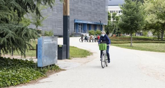 Université de Strasbourg : remous après une vague de démissions aux conseils centraux