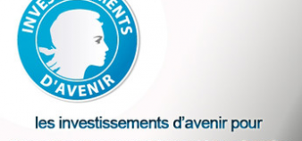 Investissement avenir - Logo