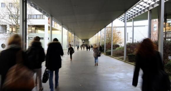 L'Université Lille-Nord-Europe, à la conquête de l'Idex