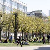 Universités : le Sénat plaide pour des frais d’inscription progressifs et un meilleur pilotage des COMP