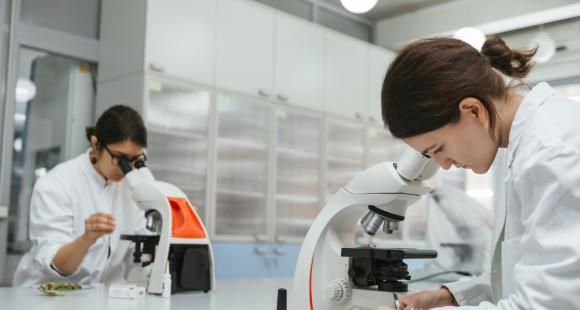 Place des femmes dans la recherche en sciences : un parcours semé d'embûches