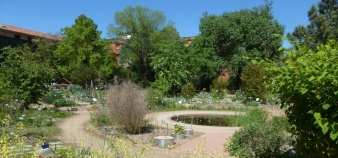 Le jardin botanique Henri Gaussen © Université Toulouse 3 - Paul Sabatier