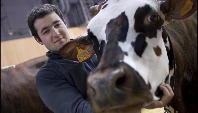 Salon international de l'agriculture : Florent Enjalbert, éleveur de vaches de race normande.