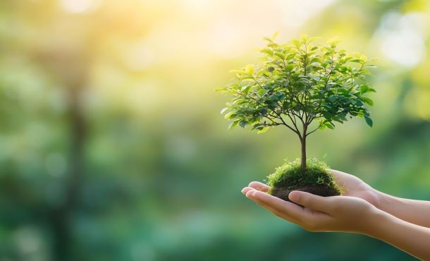 3 sujets de dissertation de philo sur la nature et nos idées de plan pour y répondre