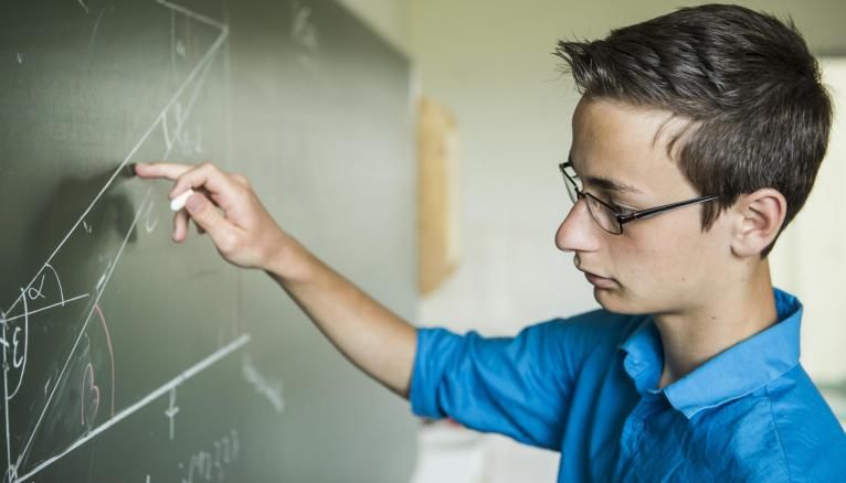 Les maths sont plebiscitées par les élèves de seconde, plus par stratégie pour le futur que par goût.
