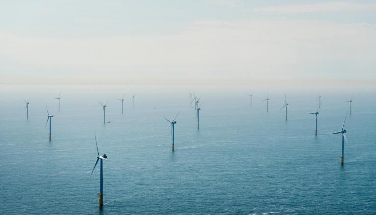 Le secteur de l'éolien a créé 2.600 emplois en France en 2018. Les projets de parcs éoliens en mer se multiplient comme à Fécamp, Saint-Brieuc ou Saint-Nazaire.
