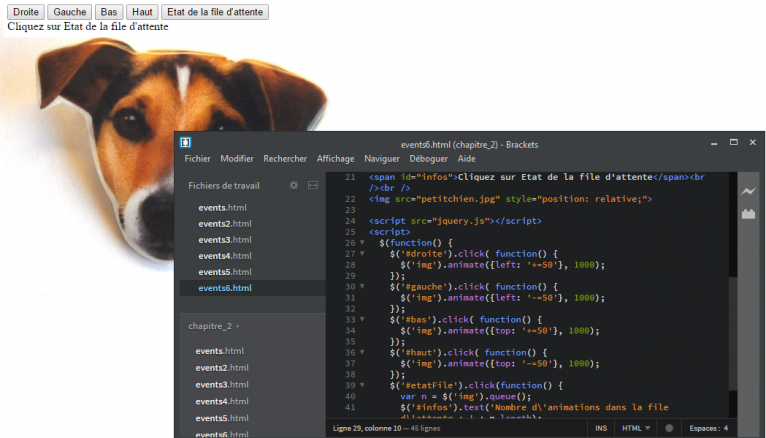 Le langage Javascript permet de réaliser du concret. Comme cette tête de chien qui se déplace quand vous cliquez sur les boutons.