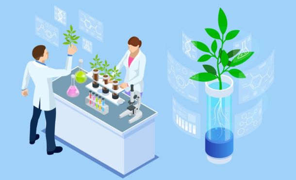Le bac pro agricole laboratoire contrôle qualité