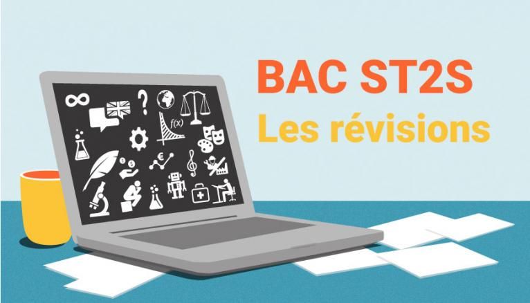 Bac ST2S - Les révisions