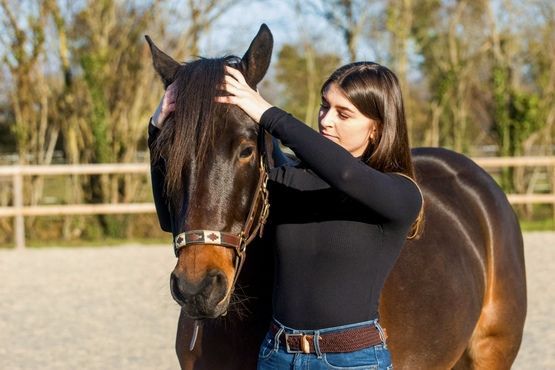 Études d’ostéopathie animale : formez-vous à un métier passion avec l’EFOA