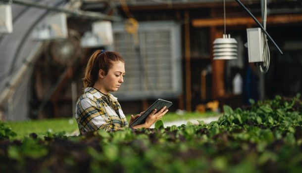 Jeune femme ingénieur agricole utilisant une tablette numérique dans une serre