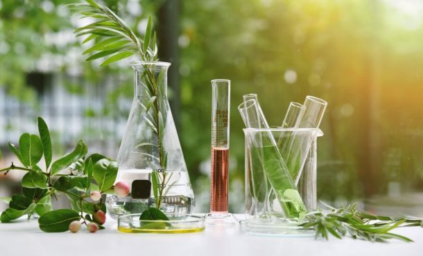 L'épreuve de sciences du brevet aura lieu le vendredi 27 juin après-midi.