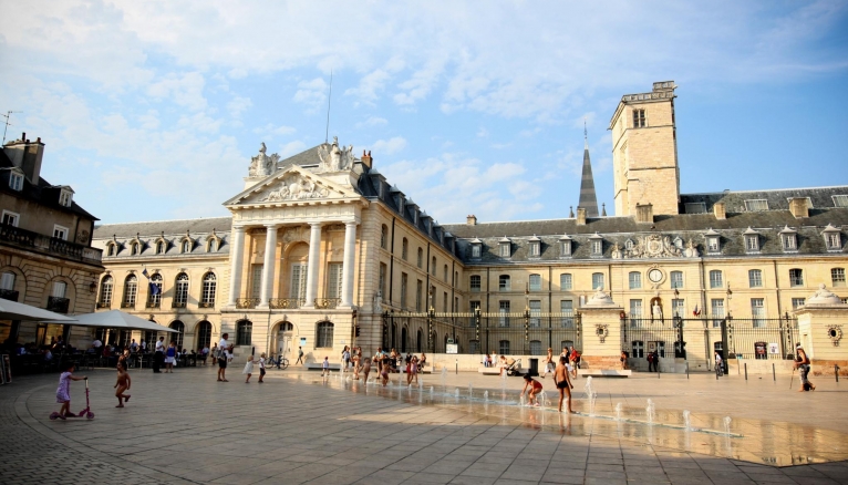 Palais des ducs de Bourgogne, siege de l'hotel de ville de Dijon et du musee des beaux arts