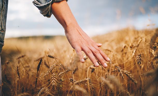 Pour quel métier de l’agriculture es-tu fait(e) ?