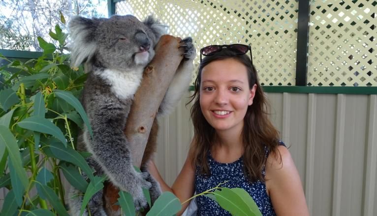 Marguerite Australie Perth koala