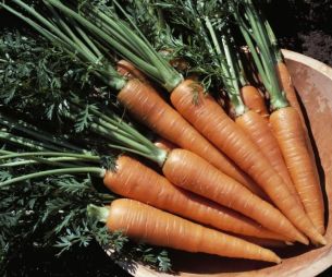 Que faire avec des carottes ? 4 recettes faciles et pas chères #2