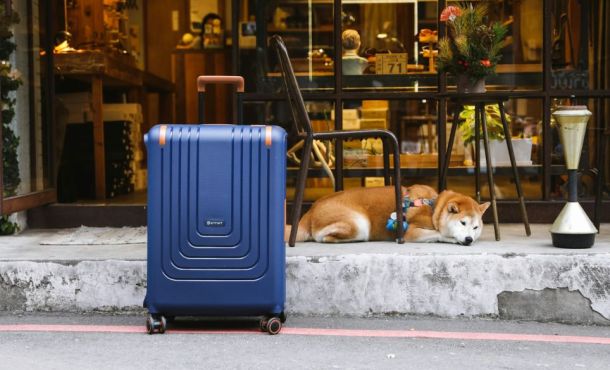 Les meilleurs endroits pour partir en vacances avec son animal