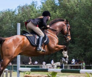 Matériel d’équitation : comment trouver un bon rapport qualité/prix ?