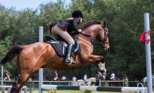 Matériel d’équitation : comment trouver un bon rapport qualité/prix ?