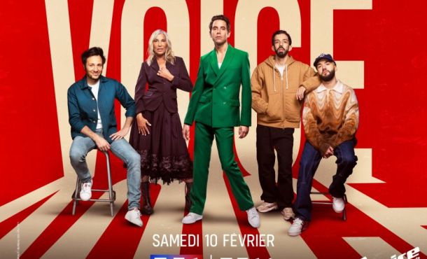 Connais-tu les jurés de The Voice ?