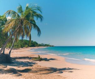 Voyage : 5 raisons de s'envoler pour la Guadeloupe