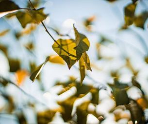 Le sondage de la semaine : quel écolo es-tu ?