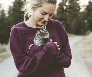 Ces choses à prévoir absolument avant de laisser ton chat sortir