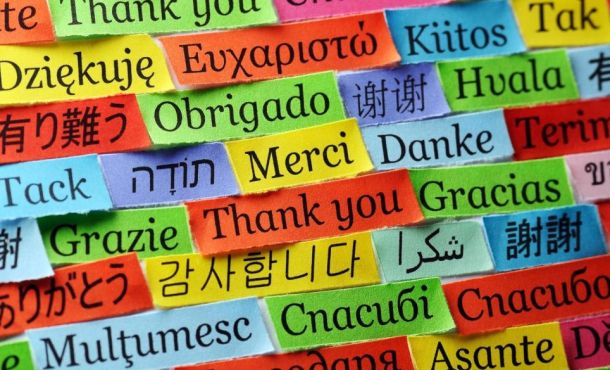 Quiz - Sauras-tu deviner quelles sont les langues officielles de ces pays ?