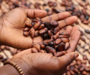 Journée internationale du chocolat : Tous les bienfaits du cacao sur ta santé