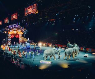 Un étudiant en arts du cirque meurt subitement à 23 ans en pleine performance