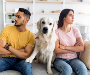 Couple : un animal de compagnie est-il dangereux pour la relation ?