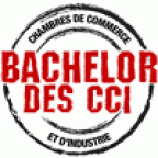 Label Bachelor des CCI