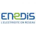 Logo ENEDIS