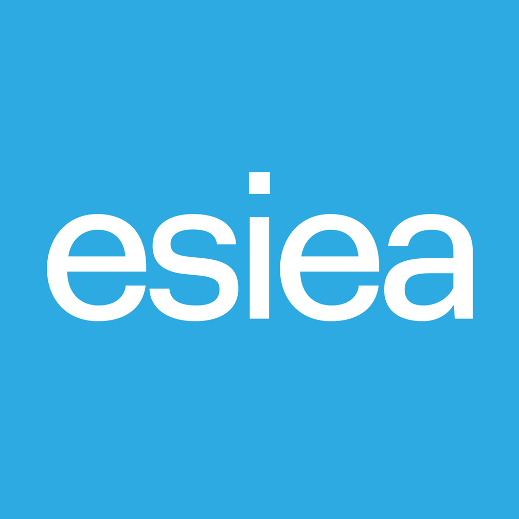 ESIEA – Programmes experts à Agen & Dax -Bac+3 & Bac+5 Hors Parcoursup