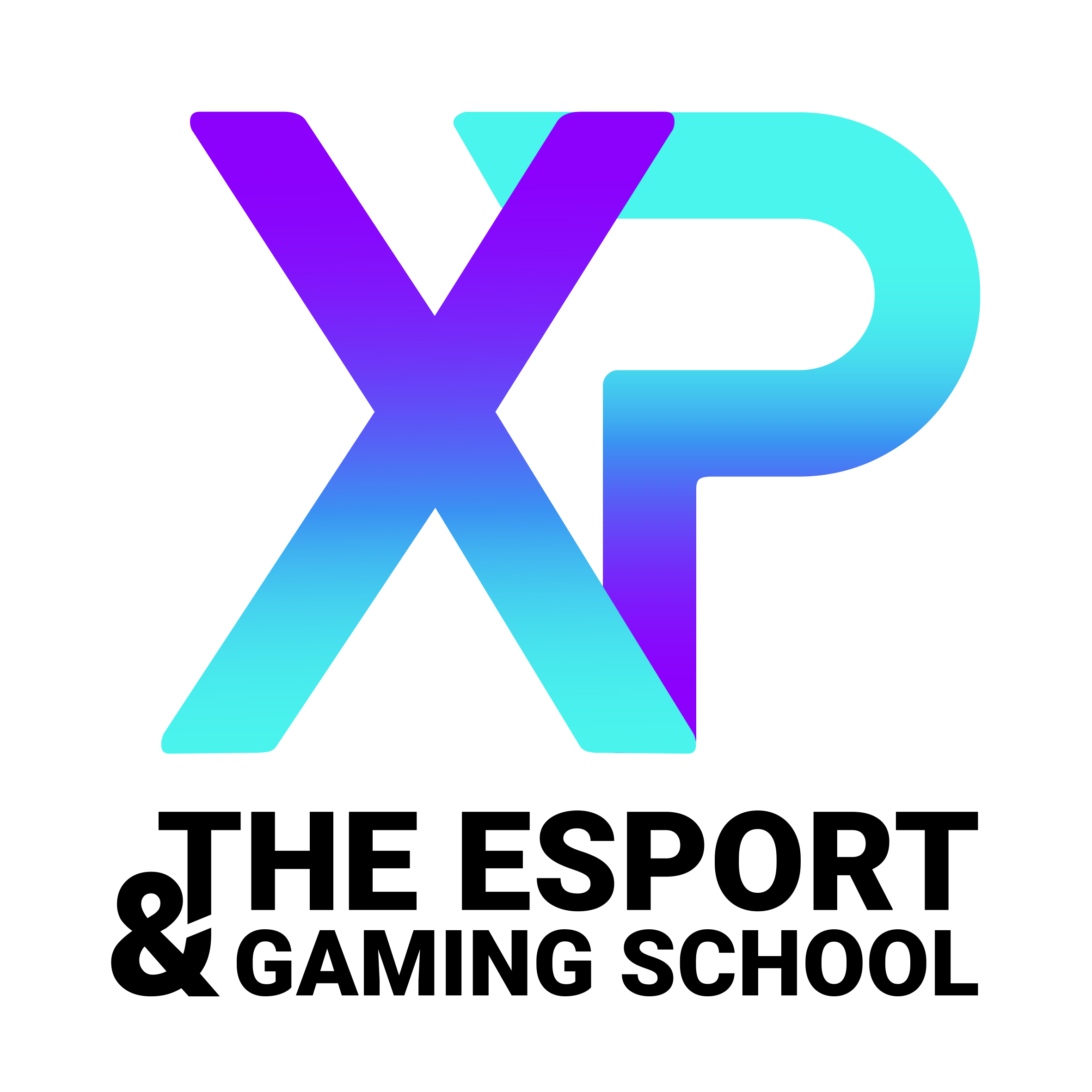 XP SCHOOL L’école référence spécialisée dans les métiers de l’esport et du gaming