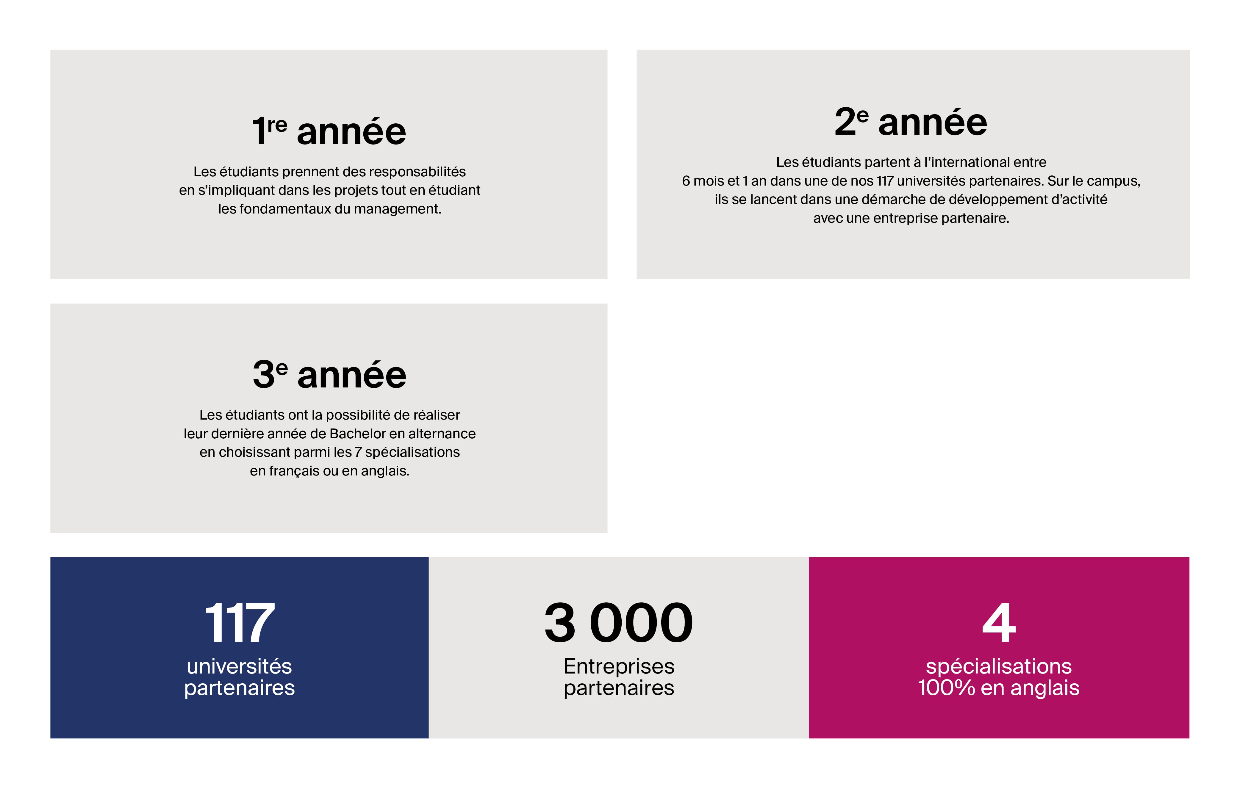 Infographie programme bachelor